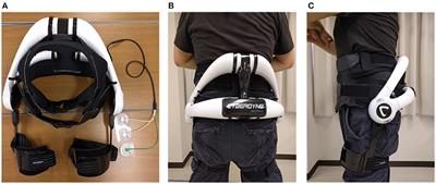 Muscle Synergies During Repetitive Stoop Lifting With a Bioelectrically-Controlled Lumbar Support Exoskeleton